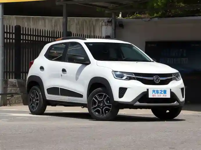  2024 DONGFENG EX1 PRO-0