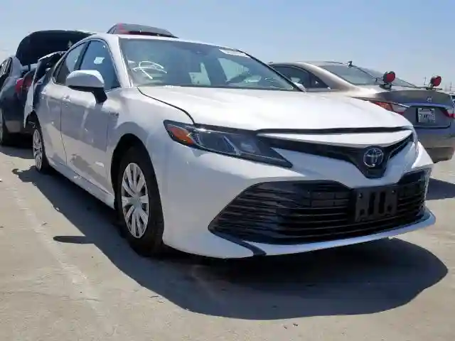 4T1B31HK8KU005823 2019 TOYOTA CAMRY LE-0