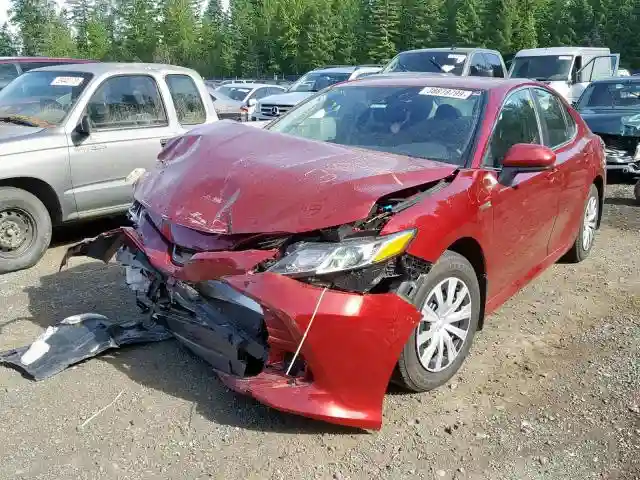 4T1B31HK8KU510972 2019 TOYOTA CAMRY LE-1
