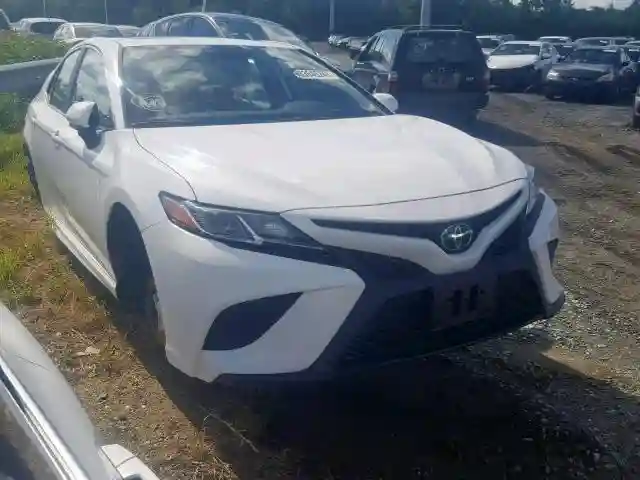 4T1B11HKXKU761062 2019 TOYOTA CAMRY L-0