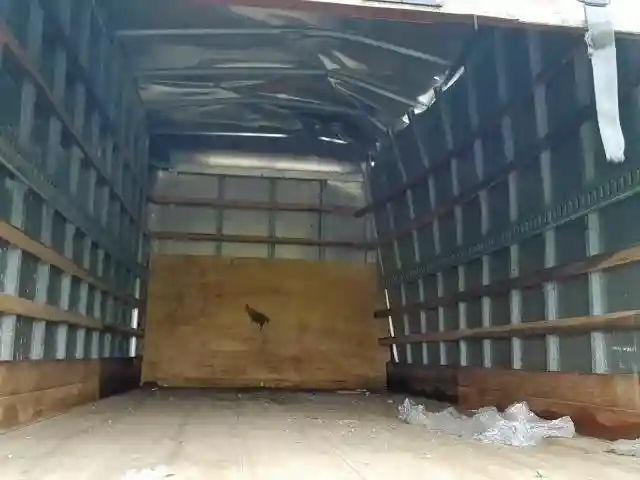 JALC4W16XF7005471 2015 ISUZU NPR HD-5