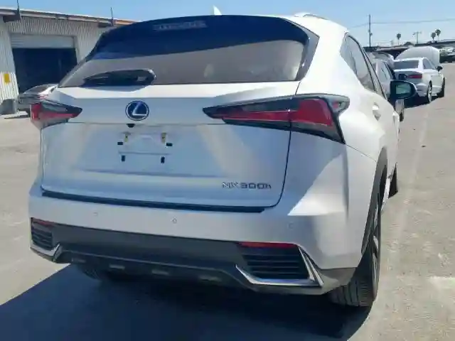 JTJBJRBZ1J2083124 2018 LEXUS NX 300H-3