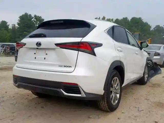 JTJBJRBZ5K2118698 2019 LEXUS NX 300H-3