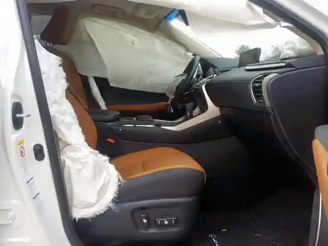 JTJBJRBZ5K2118698 2019 LEXUS NX 300H-4