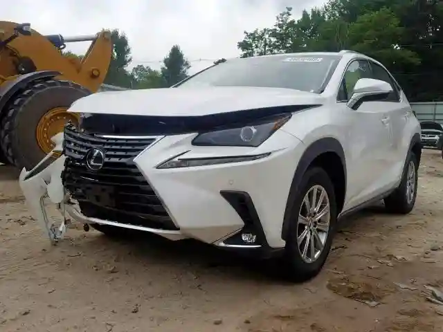 JTJBJRBZ5K2118698 2019 LEXUS NX 300H-1