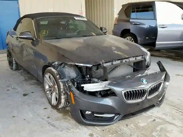 WBA1K9C50GV710455 2016 BMW 228 I-0