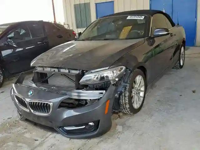 WBA1K9C50GV710455 2016 BMW 228 I-1
