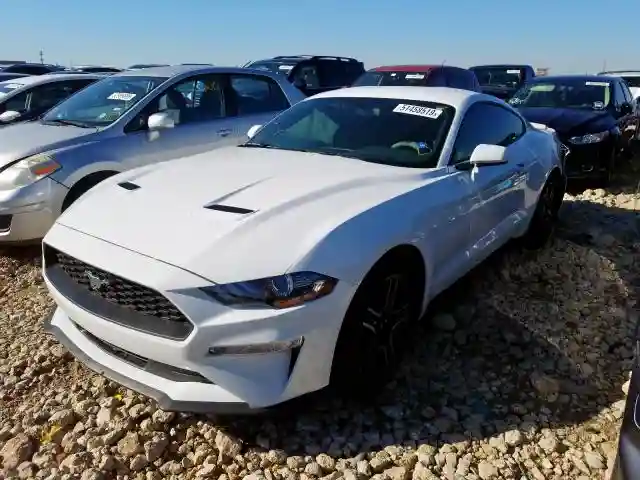 1FA6P8TH3K5168247 2019 FORD MUSTANG-1