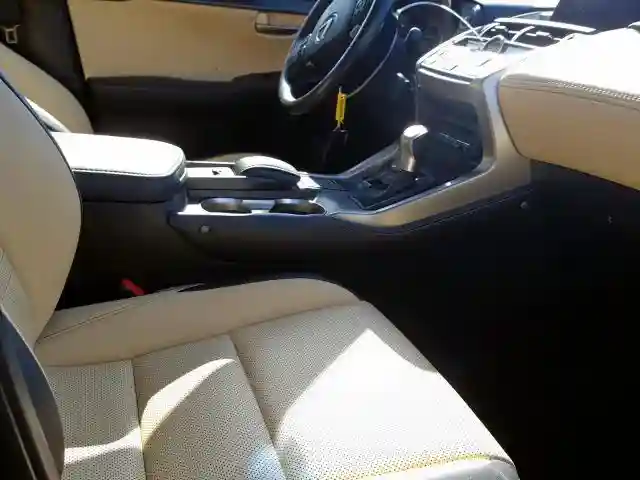 JTJBJRBZXG2039003 2016 LEXUS NX 300H-4