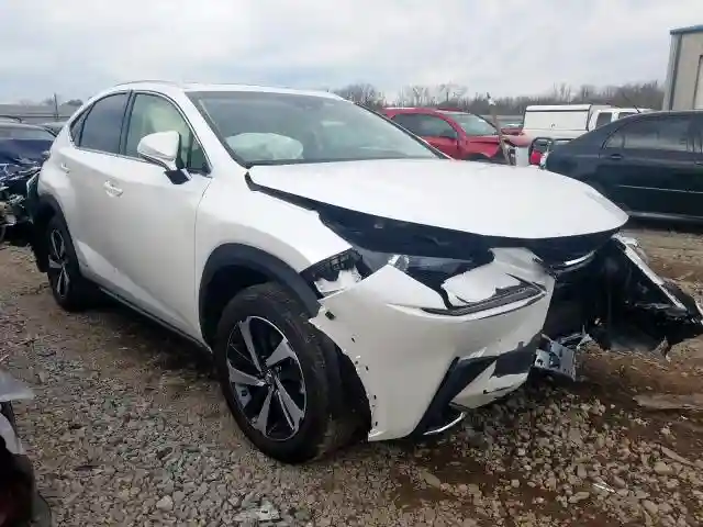 JTJBJRBZ8K2120669 2019 LEXUS NX 300H-0