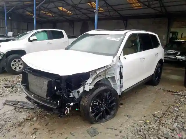 5XYP54HC5LG034410 2020 KIA TELLURIDE SX-1