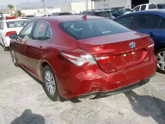 4T1B31HK8KU514438 2019 TOYOTA CAMRY LE-2