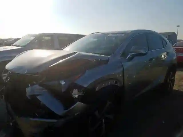 JTJYARBZ9K2138804 2019 LEXUS NX 300 BASE-1