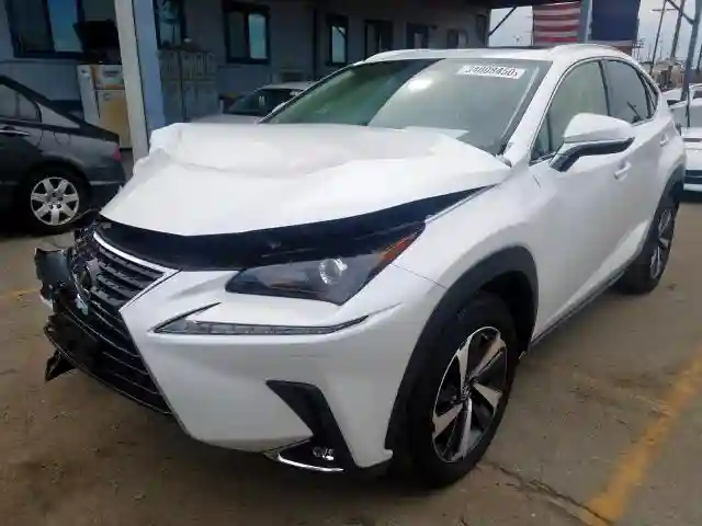 JTJDARBZ1L5008028 2020 LEXUS NX 300-1