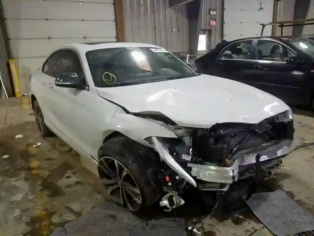 WBA1G9C5XGV598409 2016 BMW 228 XI SULEV-0