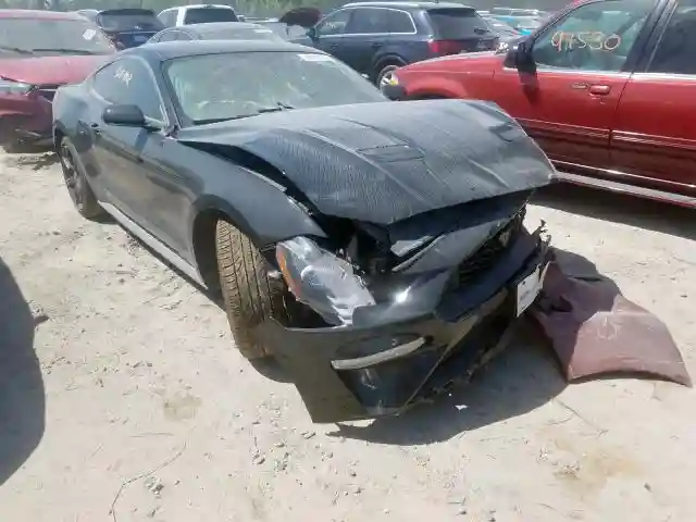 1FA6P8TH3K5134115 2019 FORD MUSTANG-0