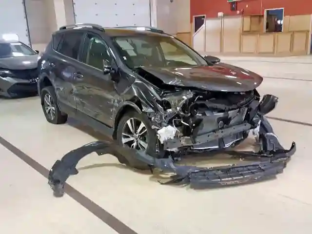 2T3WFREV1JW411678 2018 TOYOTA RAV4 ADVENTURE-0