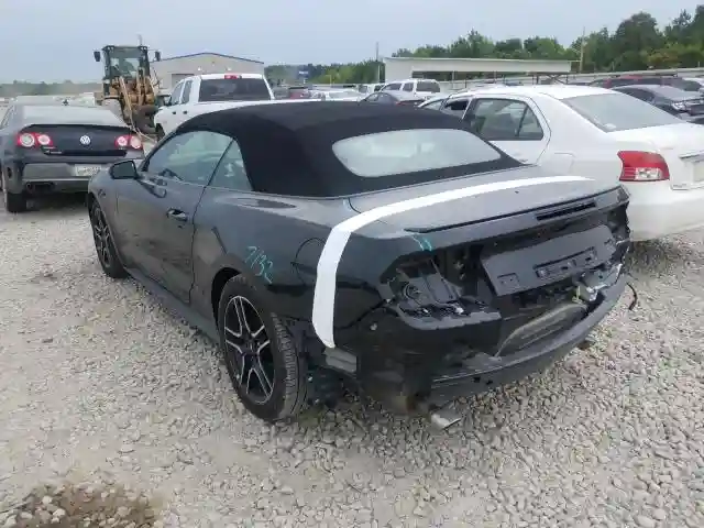 1FATP8UH9K5109690 2019 FORD MUSTANG-2