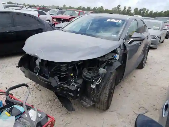 JTJYARBZ4K2133817 2019 LEXUS NX 300 BASE-1
