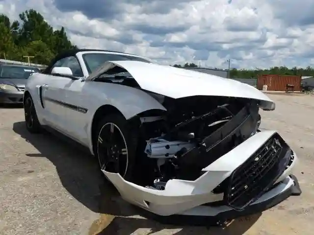 1FATP8FF5K5197004 2019 FORD MUSTANG GT-0