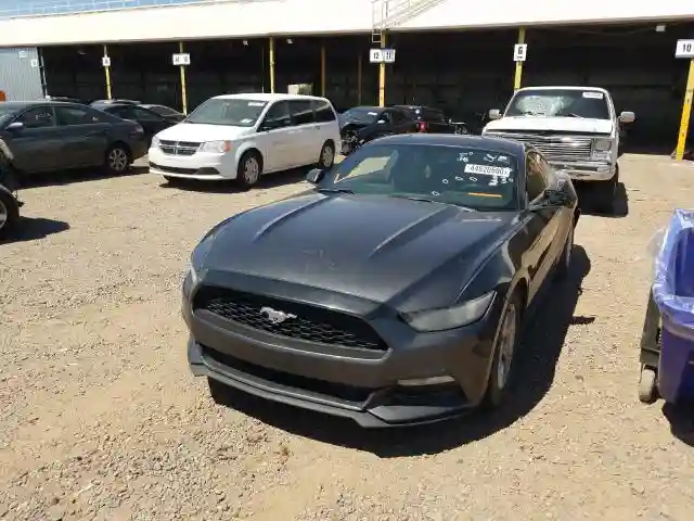 1FA6P8AM4F5355552 2015 FORD MUSTANG-1