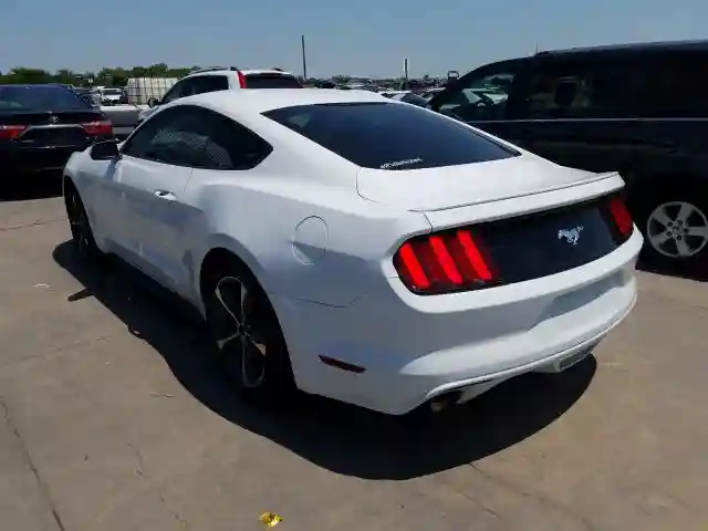 1FA6P8TH6H5357029 2017 FORD MUSTANG-2