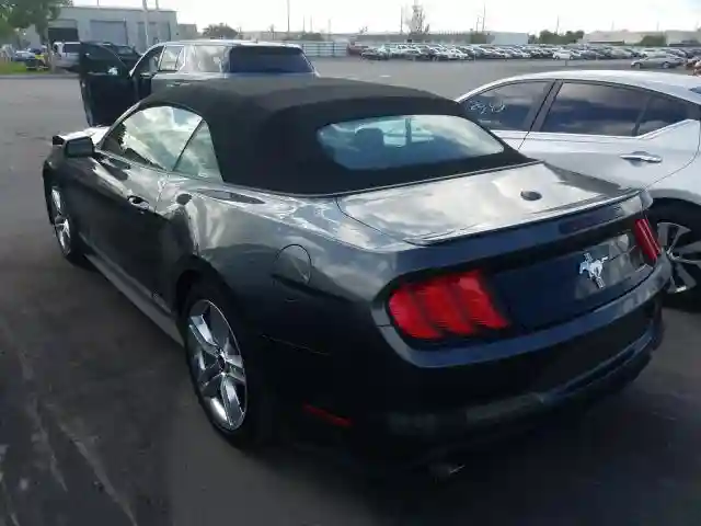 1FATP8UH4L5138547 2020 FORD MUSTANG-2