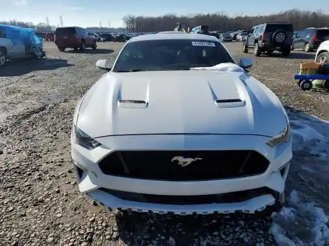 1FA6P8CF2K5105624 2019 FORD MUSTANG-4