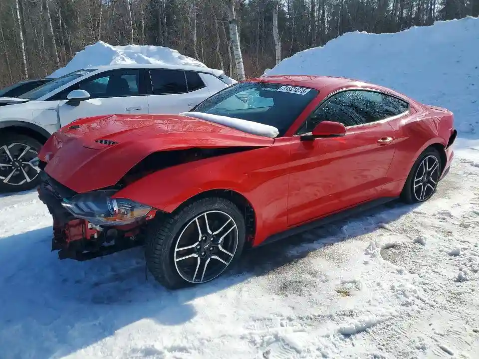 1FA6P8TH0K5103100 2019 FORD MUSTANG-0