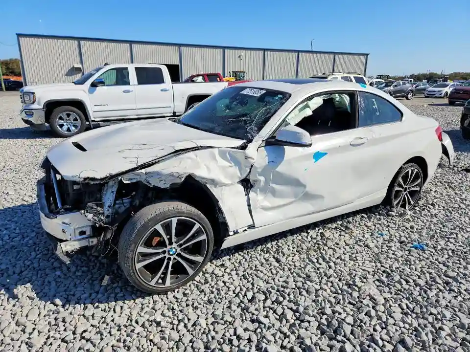 WBA2J1C03L7D90417 2020 BMW 2 SERIES-0