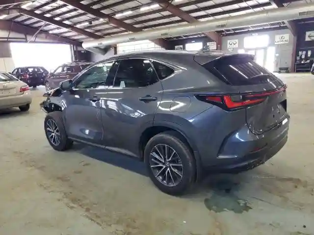 2T2GGCEZ7RC040092 2024 LEXUS NX 350 PRE-1