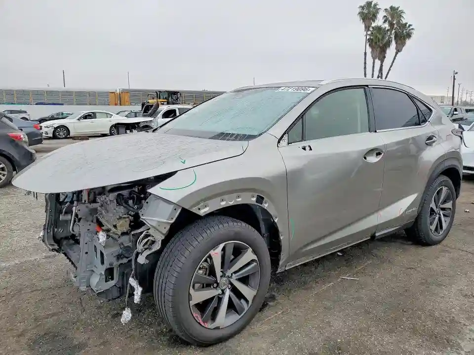 JTJGJRDZXL2143505 2020 LEXUS NX-0
