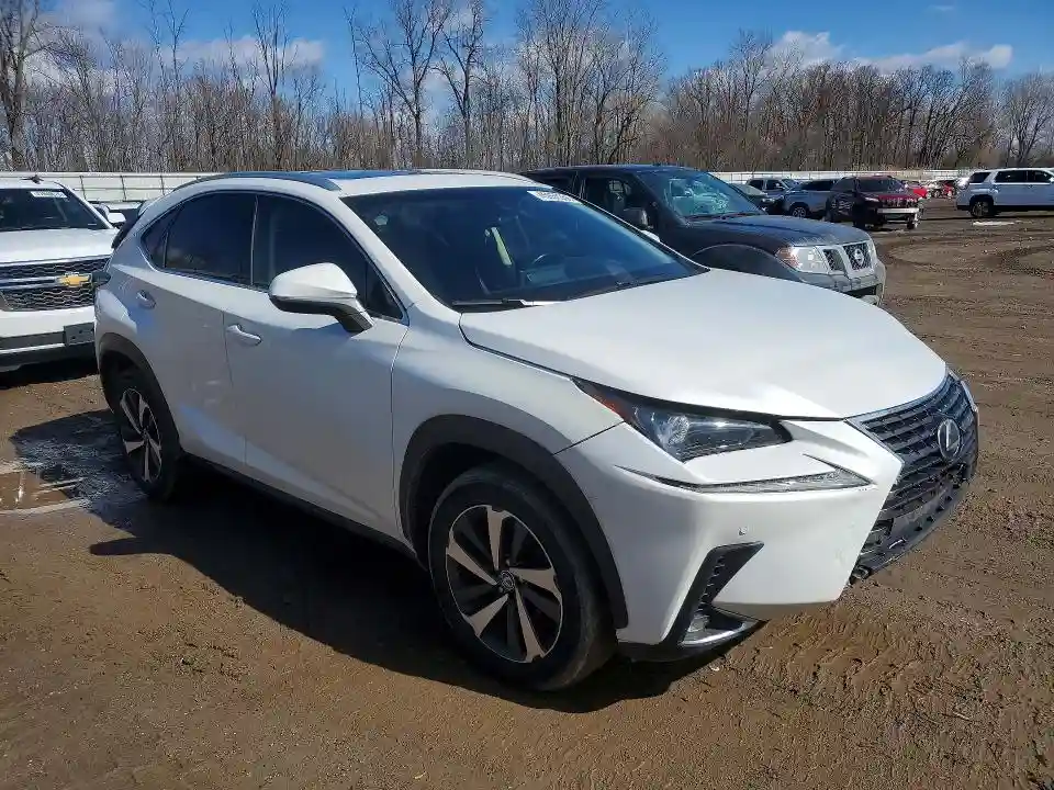 JTJBARBZ4K2187155 2019 LEXUS NX-3