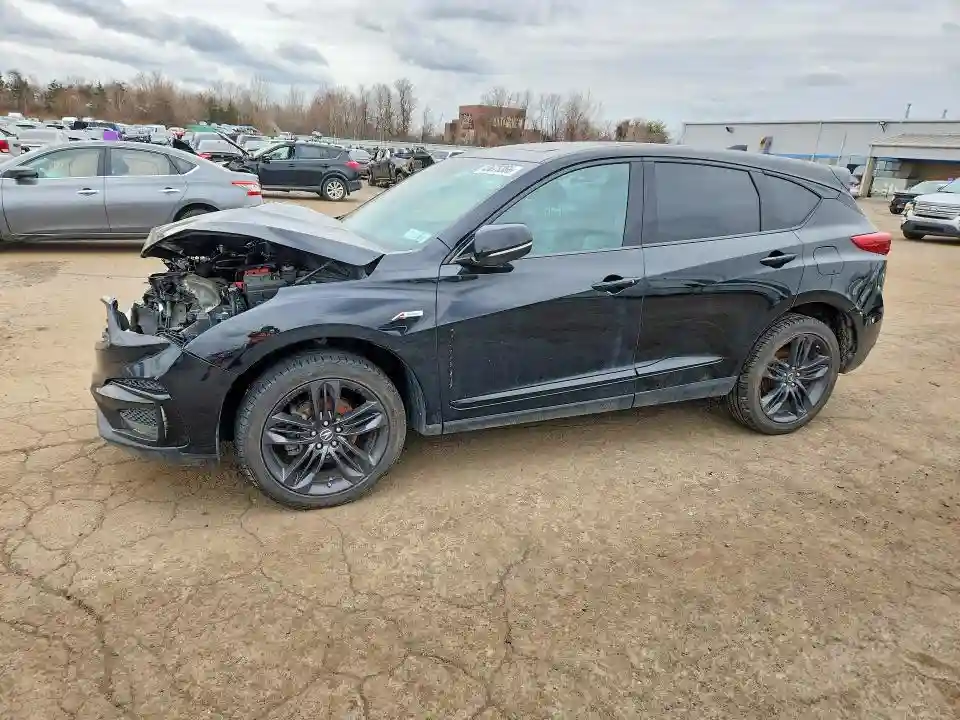 5J8TC2H60KL008790 2019 ACURA RDX-0
