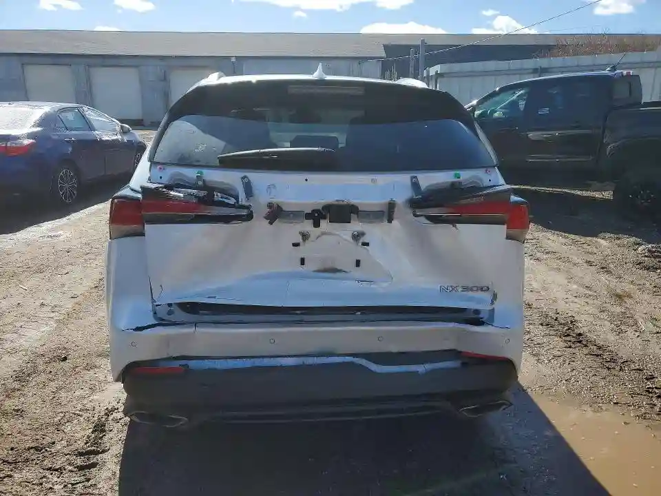 JTJBARBZ4K2187155 2019 LEXUS NX-5
