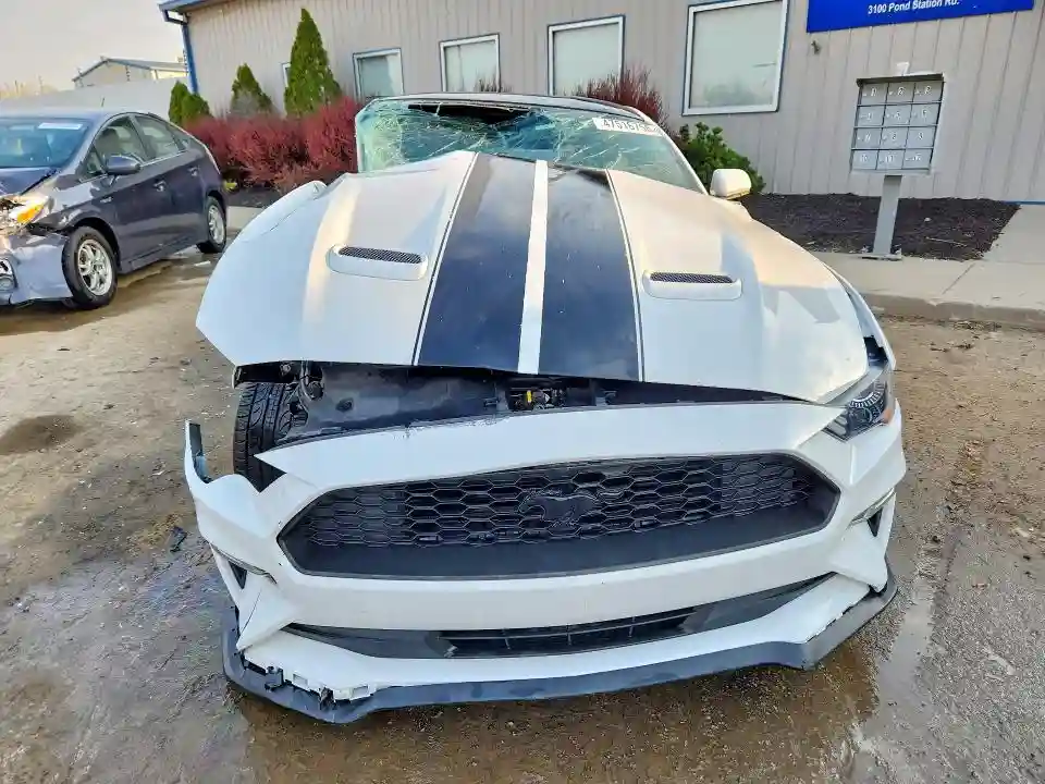 1FA6P8TH8K5194293 2019 FORD MUSTANG-4