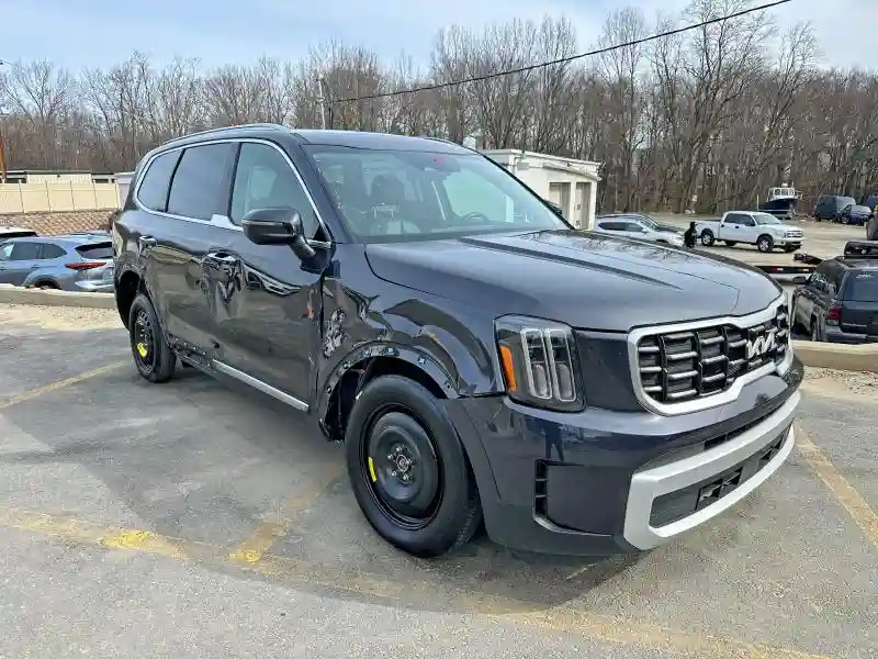 5XYP64GC1SG582644 2025 KIA TELLURIDE-3
