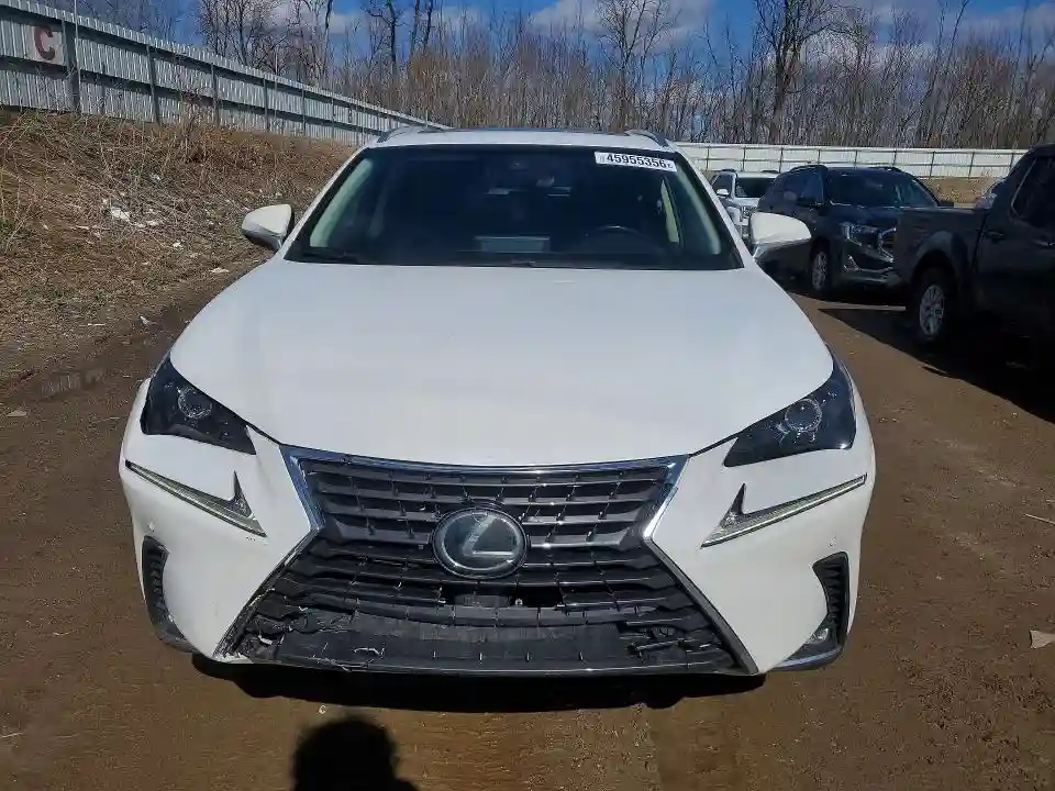 JTJBARBZ4K2187155 2019 LEXUS NX-4