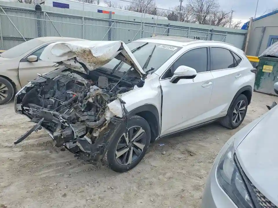 JTJGJRDZ3L5009627 2020 LEXUS NX-0
