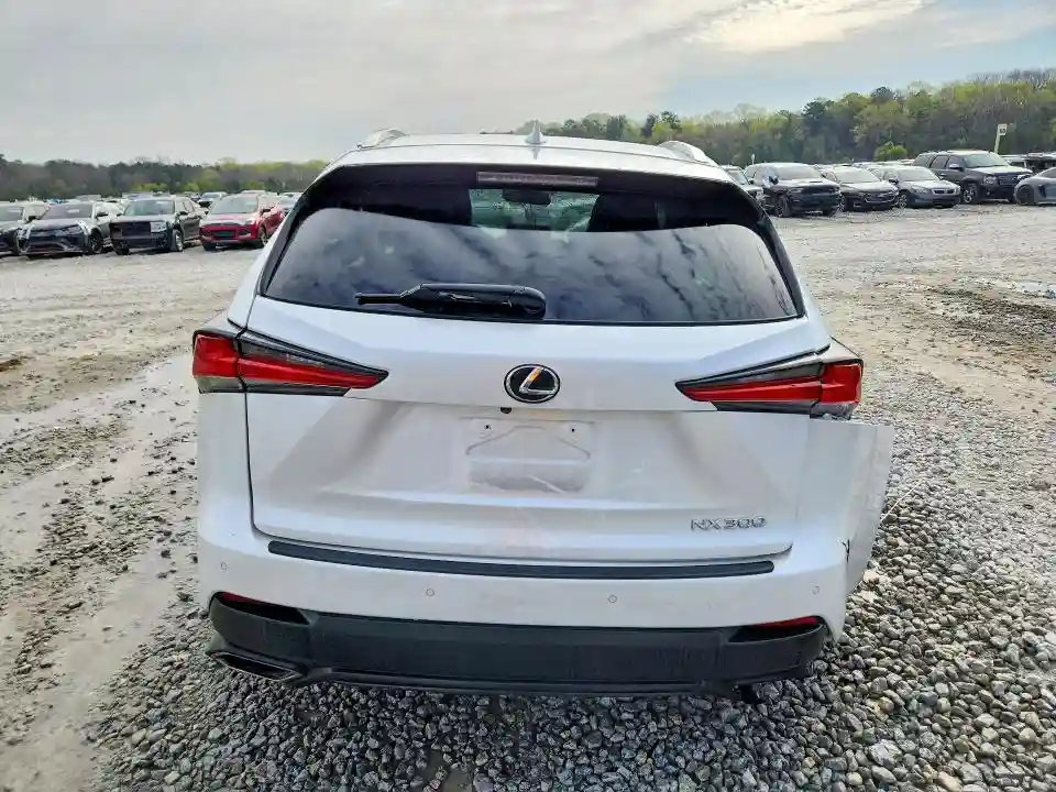 JTJYARBZ3K2131508 2019 LEXUS NX-5