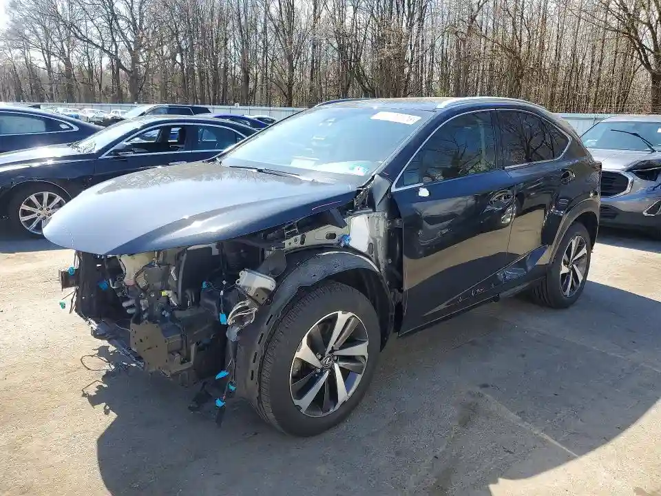 JTJBARBZ6K2197119 2019 LEXUS NX-0