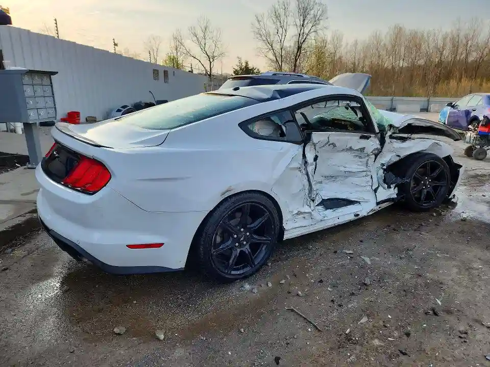 1FA6P8TH8K5194293 2019 FORD MUSTANG-2