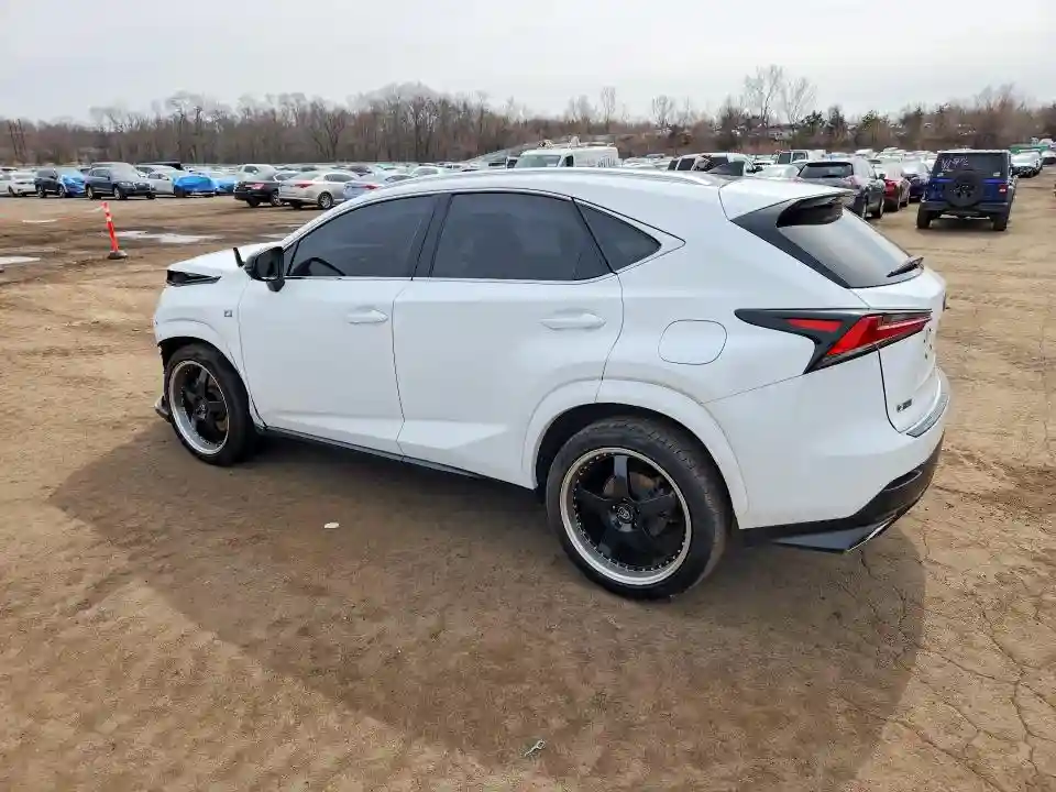 JTJSARDZ6L5006196 2020 LEXUS NX 300 F S-1