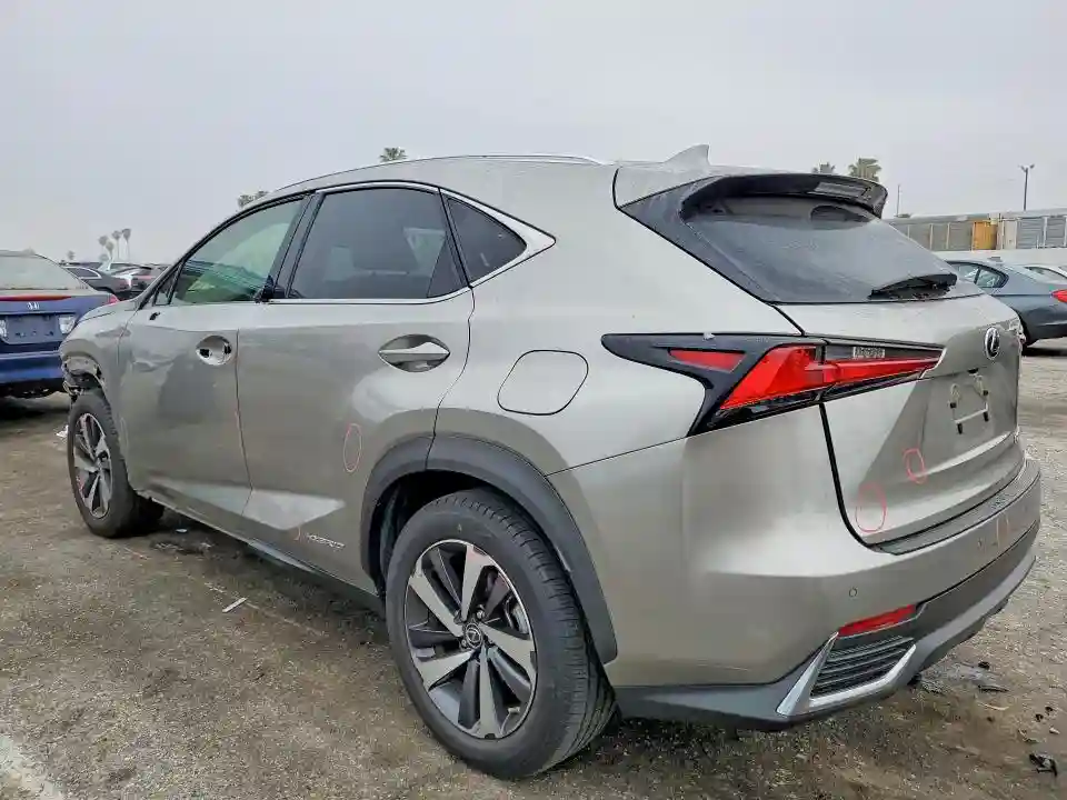 JTJGJRDZXL2143505 2020 LEXUS NX-1