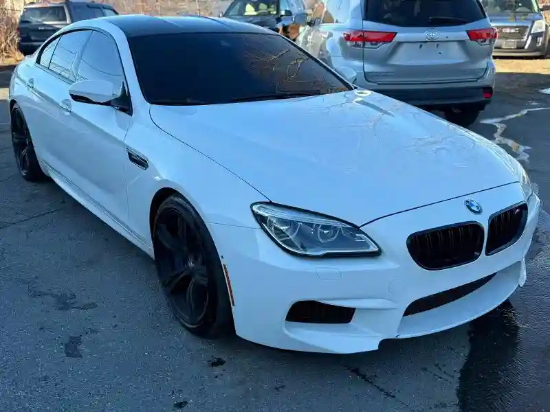 WBS6E9C56GG437177 2016 BMW M6-3