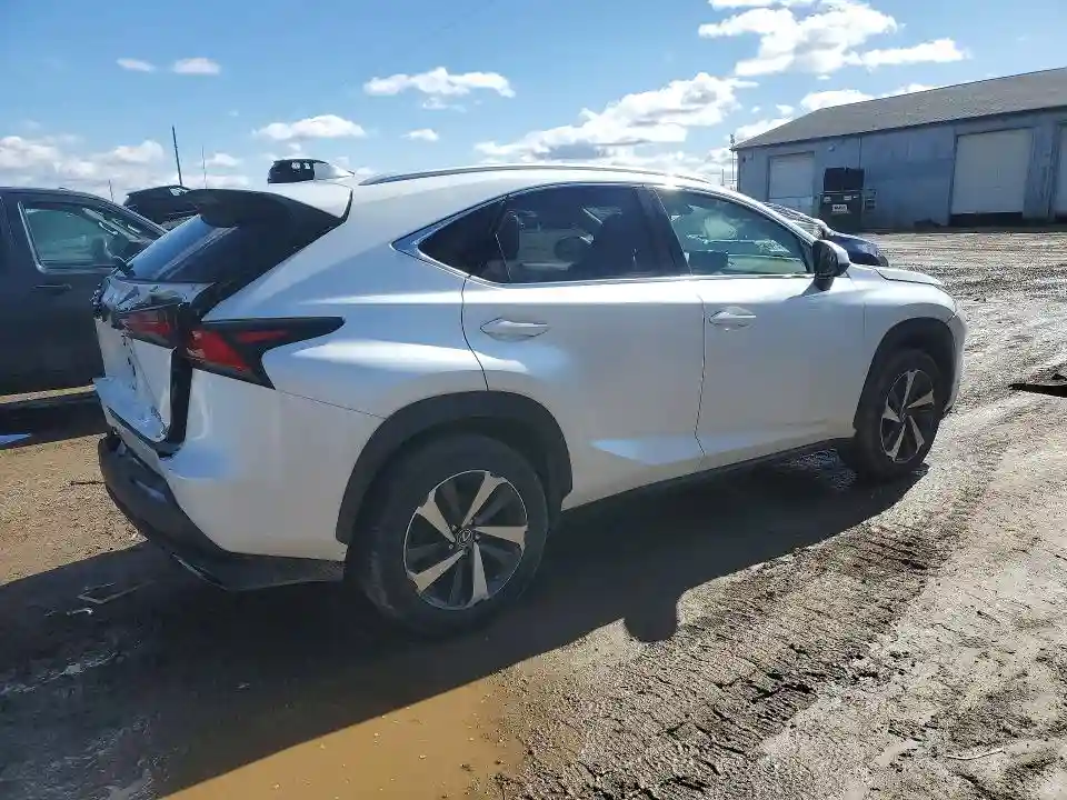JTJBARBZ4K2187155 2019 LEXUS NX-2
