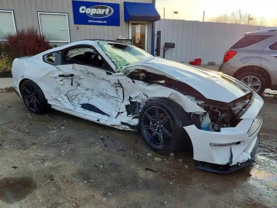 1FA6P8TH8K5194293 2019 FORD MUSTANG-3