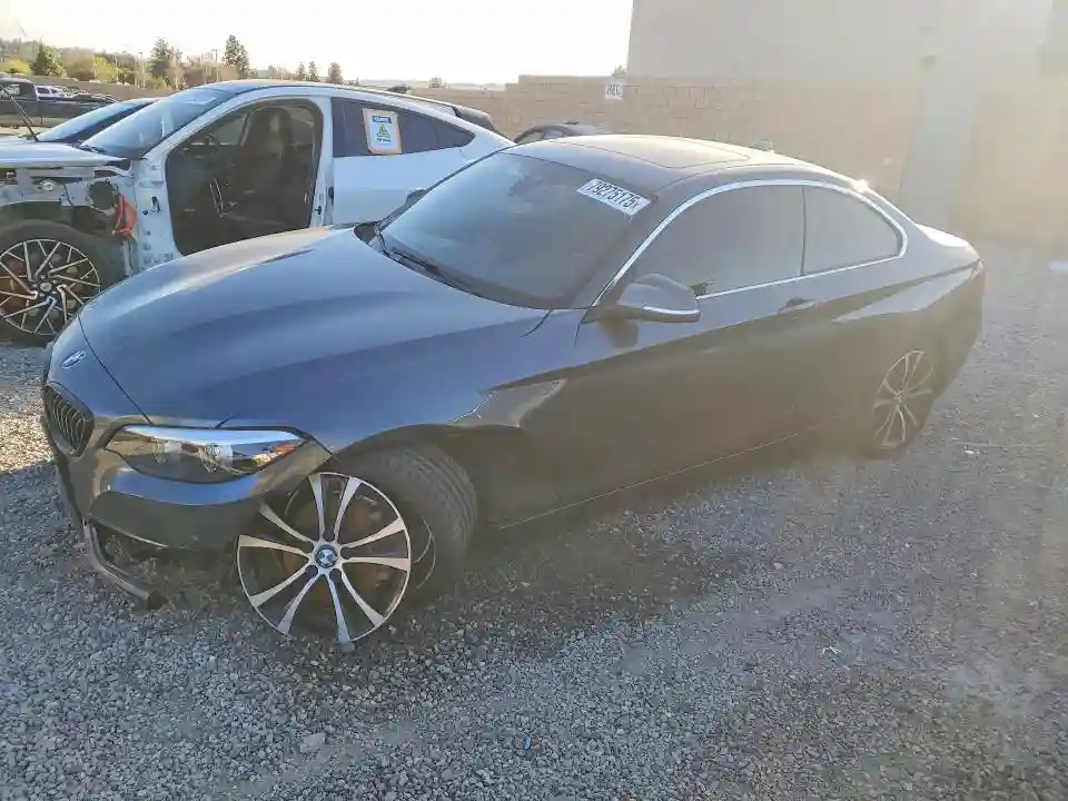 WBA2J1C04L7D91530 2020 BMW 2 SERIES-0