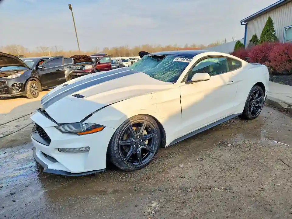 1FA6P8TH8K5194293 2019 FORD MUSTANG-0
