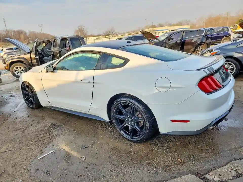 1FA6P8TH8K5194293 2019 FORD MUSTANG-1